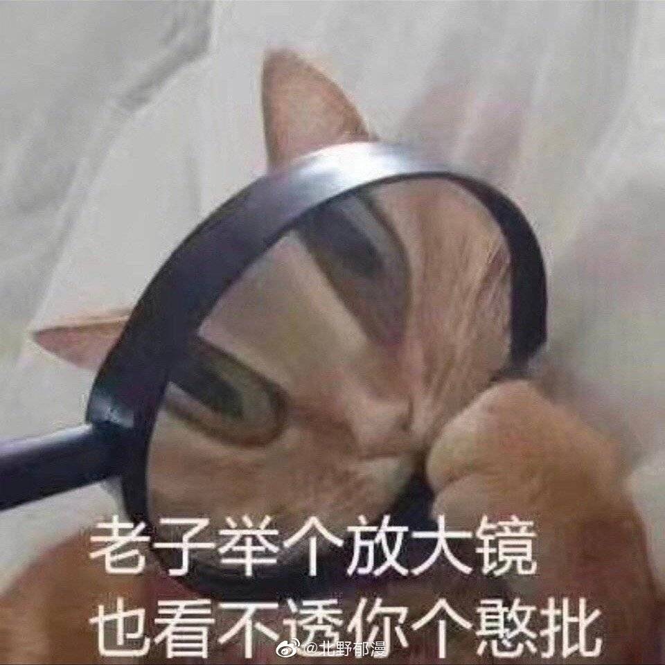 多个义父又如何?—杯哩杯哩吕布飞机杯评测