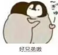 “我和我的动物朋友!”趣网美优酱评测(进阶)评测,无口系猫娘