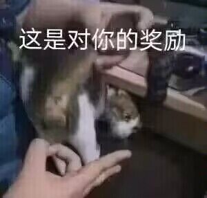 METABLOW-E300电动飞机杯评测,赛博朋克,科技狠活,阿鉴助理亲自下海!