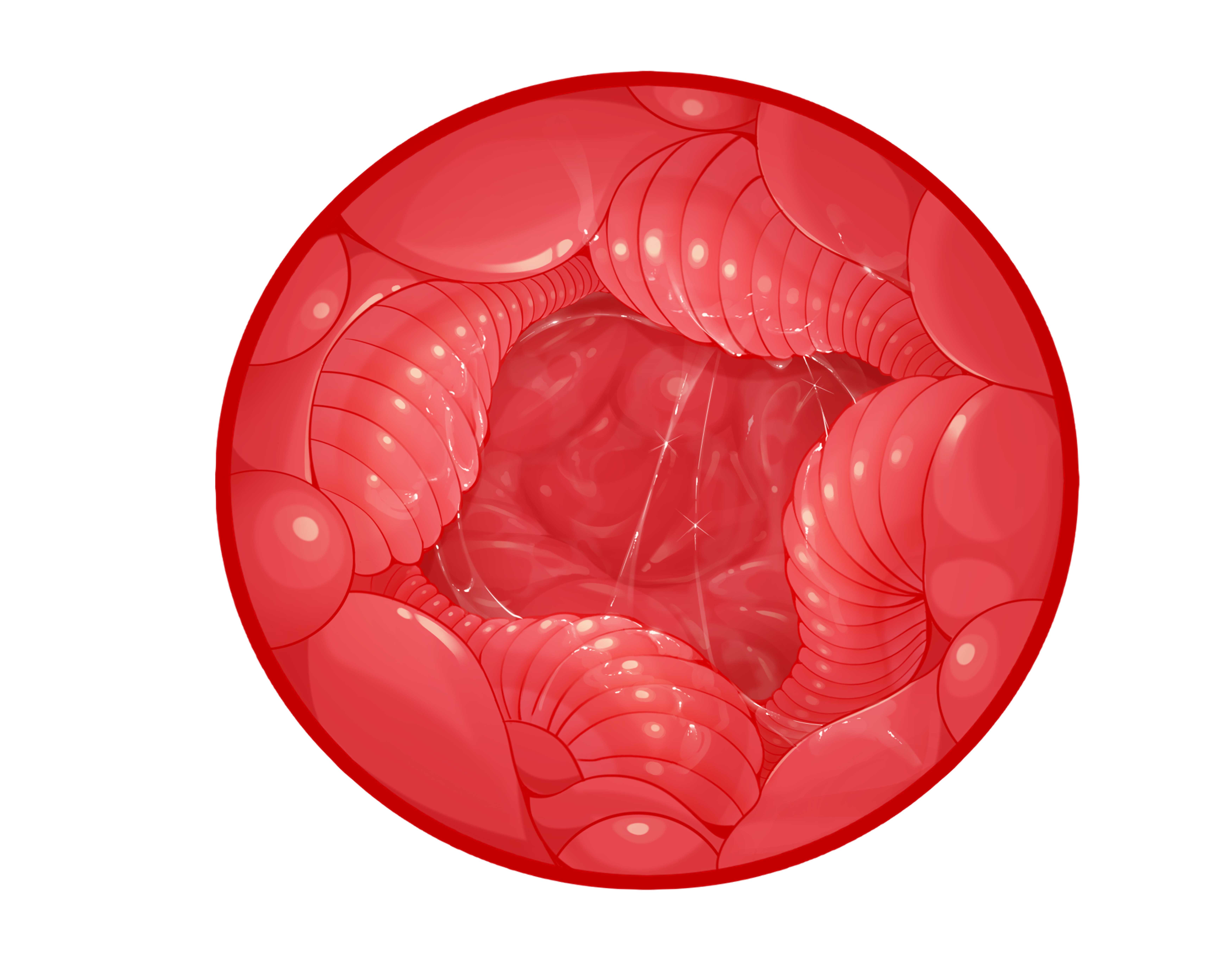 小屁股与妹妹体验日记~新人评测师土土实测“风俗娘”“生徒会长”