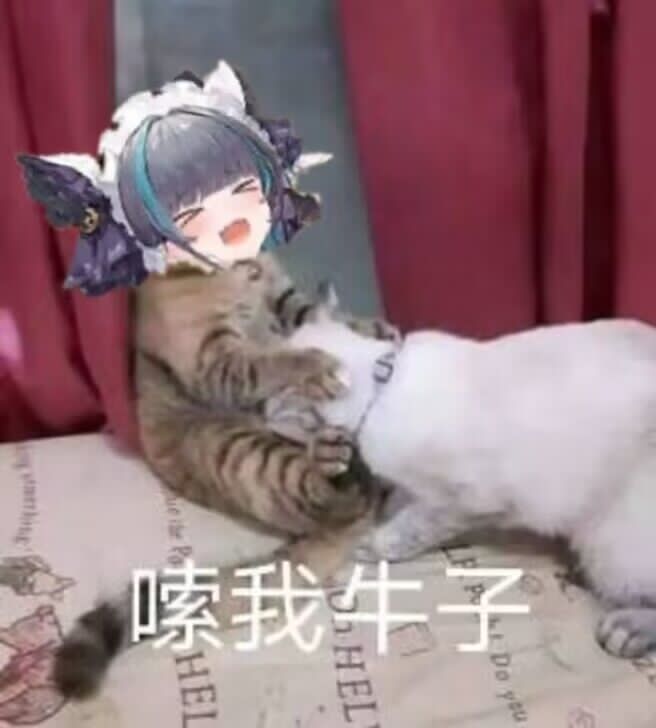 onaho女神爱丽丝评测,国产品牌的软胶大魔王~