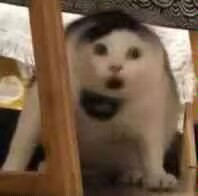 含有滑石粉会致癌?今天仔细讲讲保养粉的原理和使用