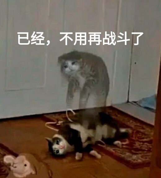 汤玛托易士奇怪味道品鉴,各种怪味香水闻个遍,大嘘老师入驻B站啦!