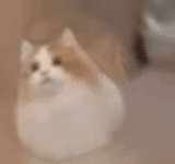 汤玛托易士-圣少女sleepless联名款飞机杯评测,间宫麻里绘(中刺激)