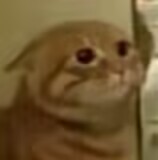 lovefactor星雾纱评测(小杯子),loli小型便携飞机杯