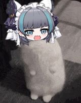 Q&A环节,近期大伙提出的各种(奇怪)问题大汇总!