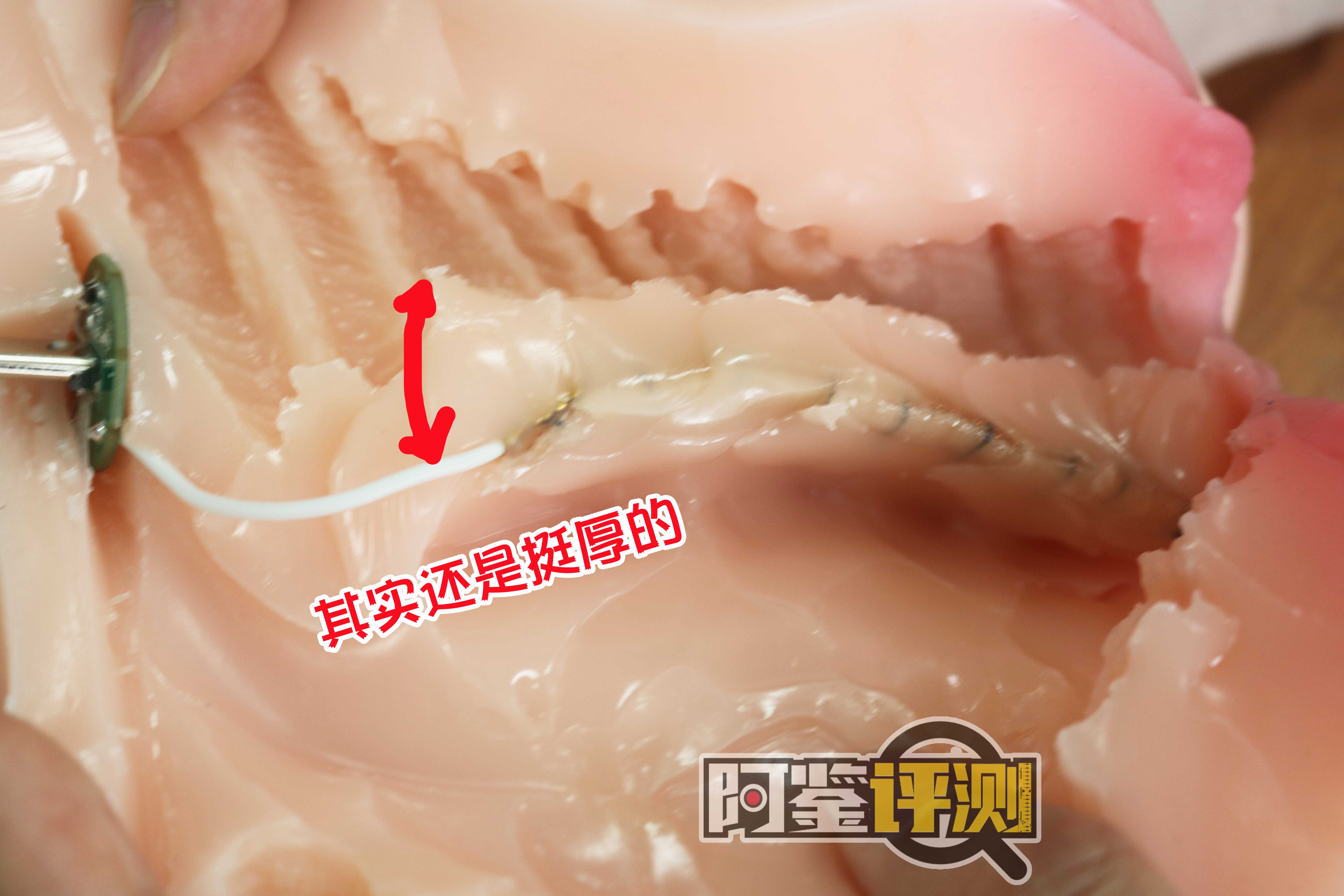 趣网-“绫音学妹”(加热款)评测!国产加热飞机杯内卷开始?