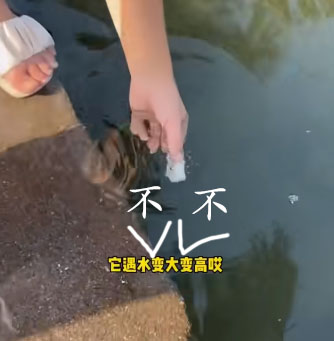 10种会让你的飞机杯光速去世的情况!千万注意!超全的小玩具保养指南!