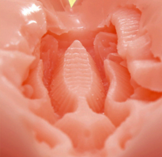 汤玛托易士-“眼镜上司”评测!突破你认知的新品种名器!2022日本高人气产品!