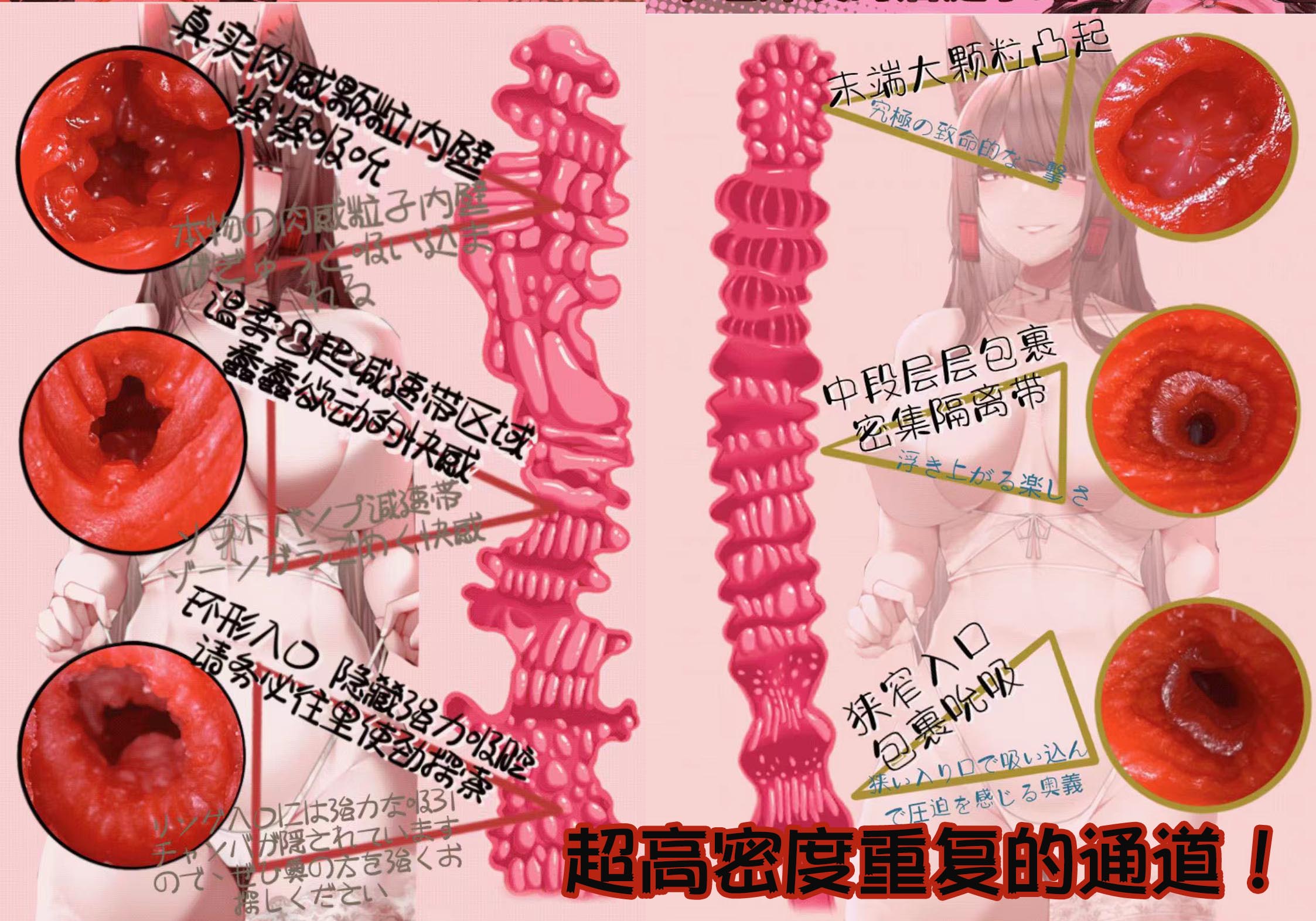 Onaho-舰娘赤城(小身体)评测!功能齐全的小身体,性价比之选的小型倒模!