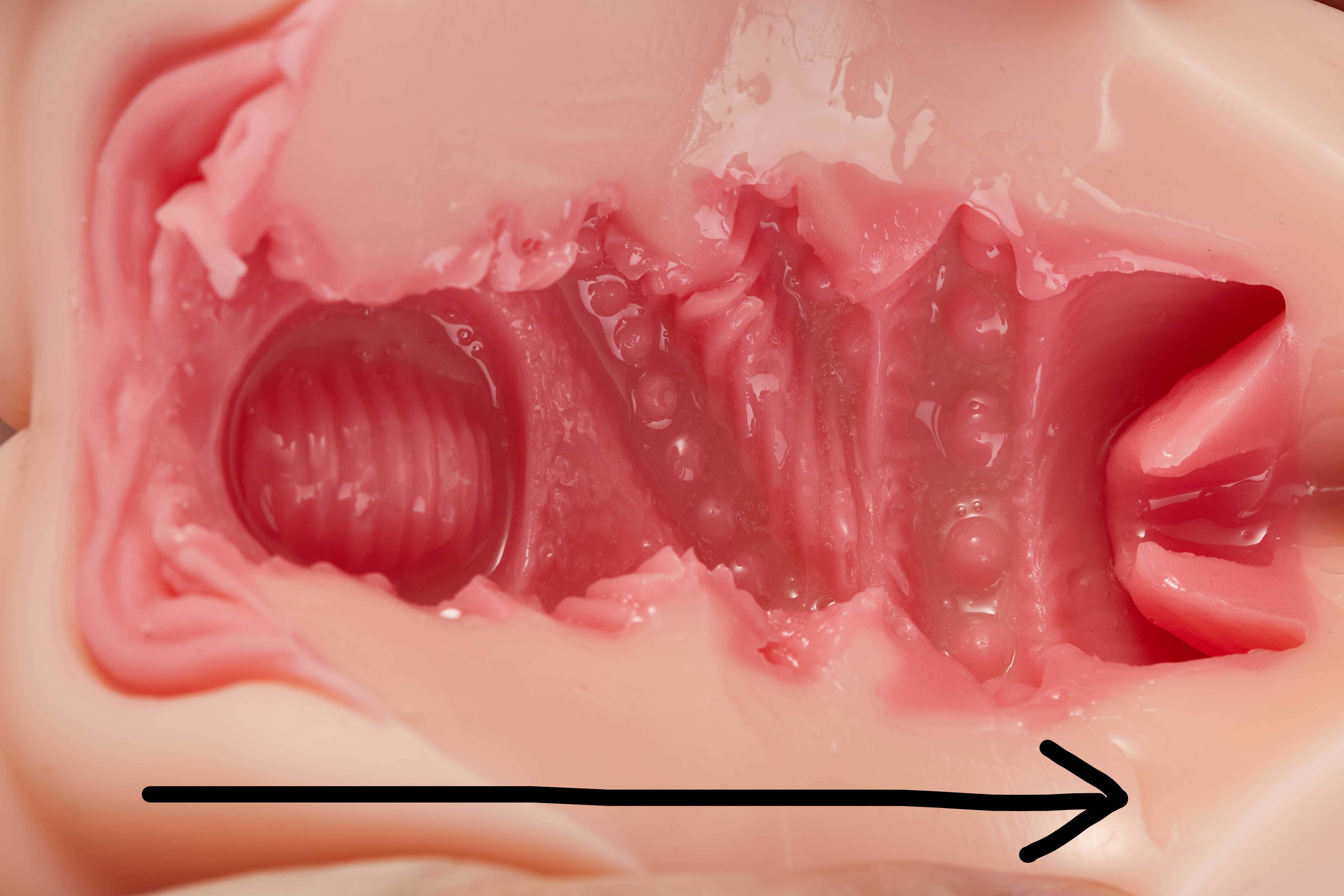 趣网-琉璃兔(排气杯)评测!高质量胶体!玩法类似R20的进阶长形名器