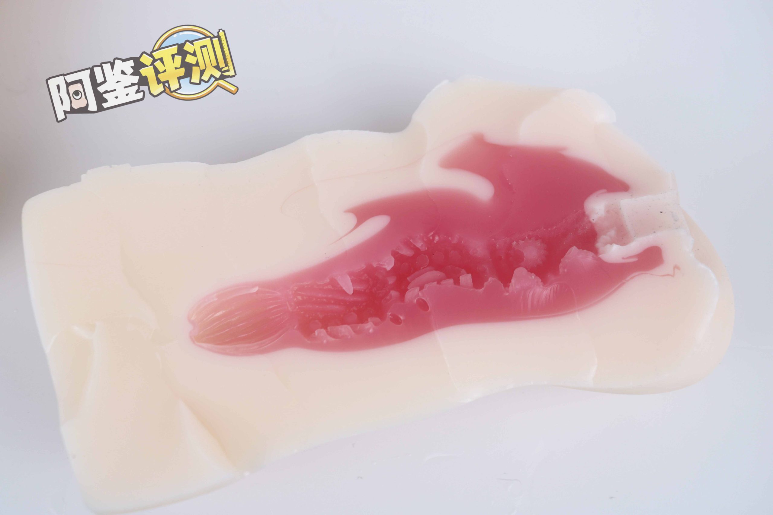 NPG-003(新版)评测,著名的葵司联名款的最新改版!效果如何呢?