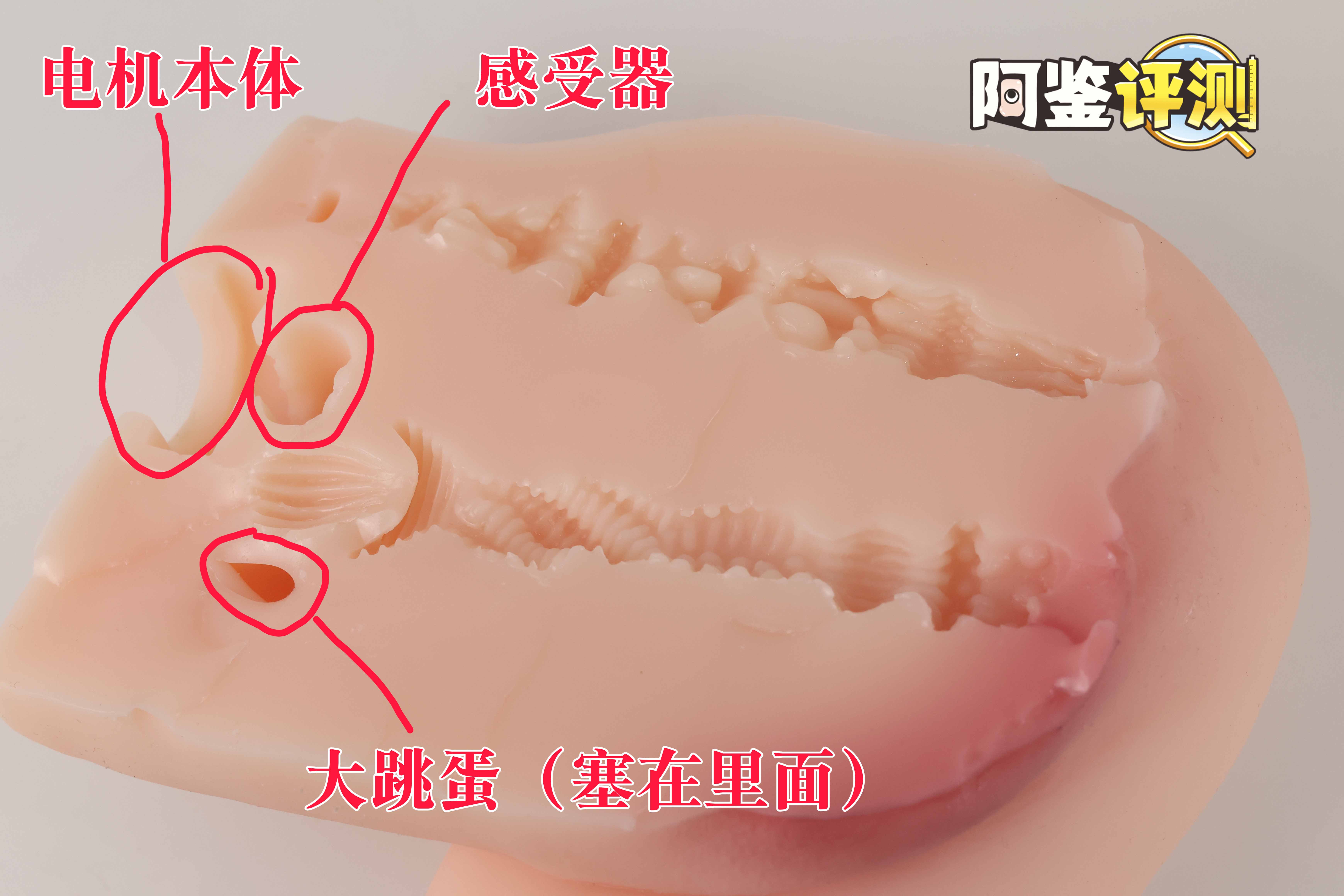 趣网COC——“杯魔女”评测!屁股就是用来拍的!爆笑流“抖动”臀模!