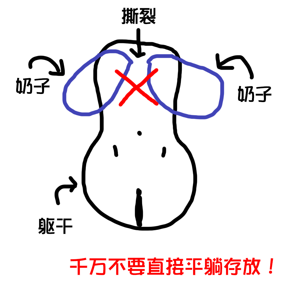 2023年秋(7-9月)评测大总结,综合排名集合!弟弟喜欢的好东西大盘点!