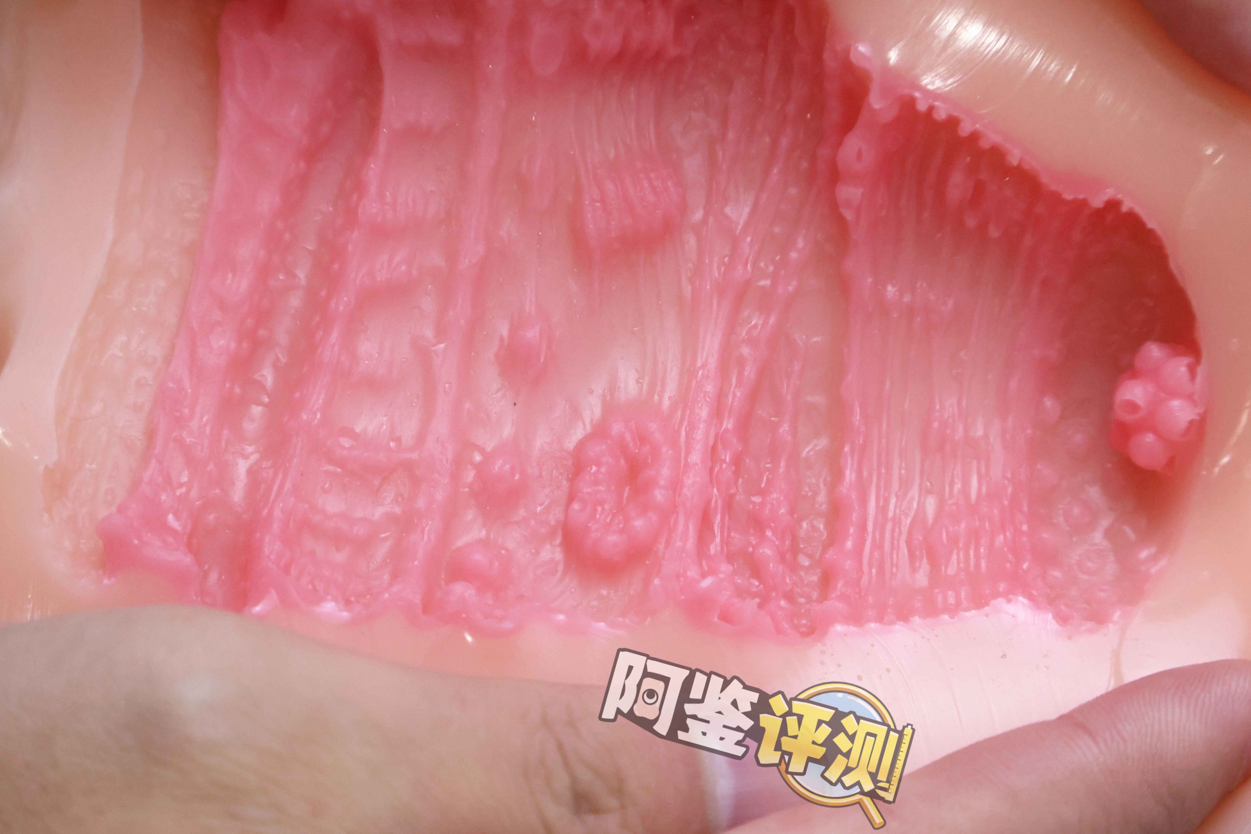 GXP—“工口新入生”评测!毫无压力的宽松型慢玩!平淡但不太腻