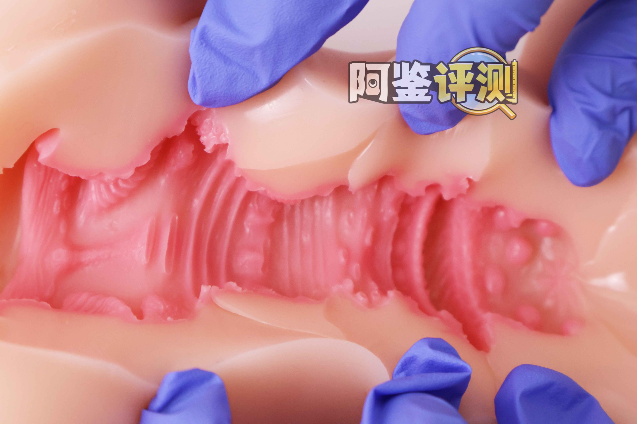 GXP—“异世界 龙娘”评测!1.4kg!飞机杯中的“超大杯”!到底算半身还是算名器?