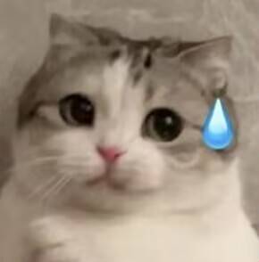 A-one—“六连子宫-二代”评测!最原始的肉球设计,简单高效的“六个核桃”