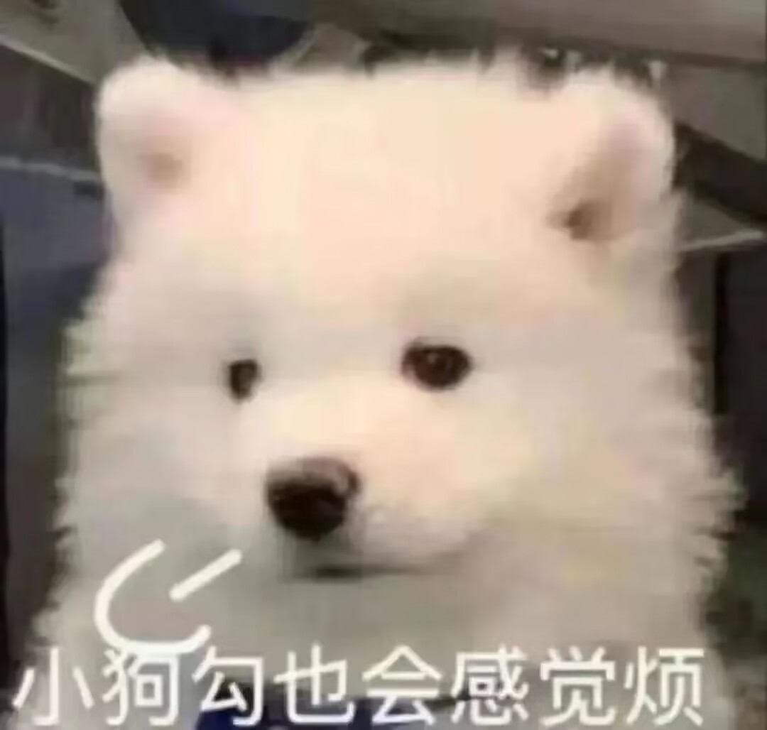 RIDE JAPAN——“眼镜娘护士”评测!对于颗粒感超强的慢玩,牛牛的反应不太确定...