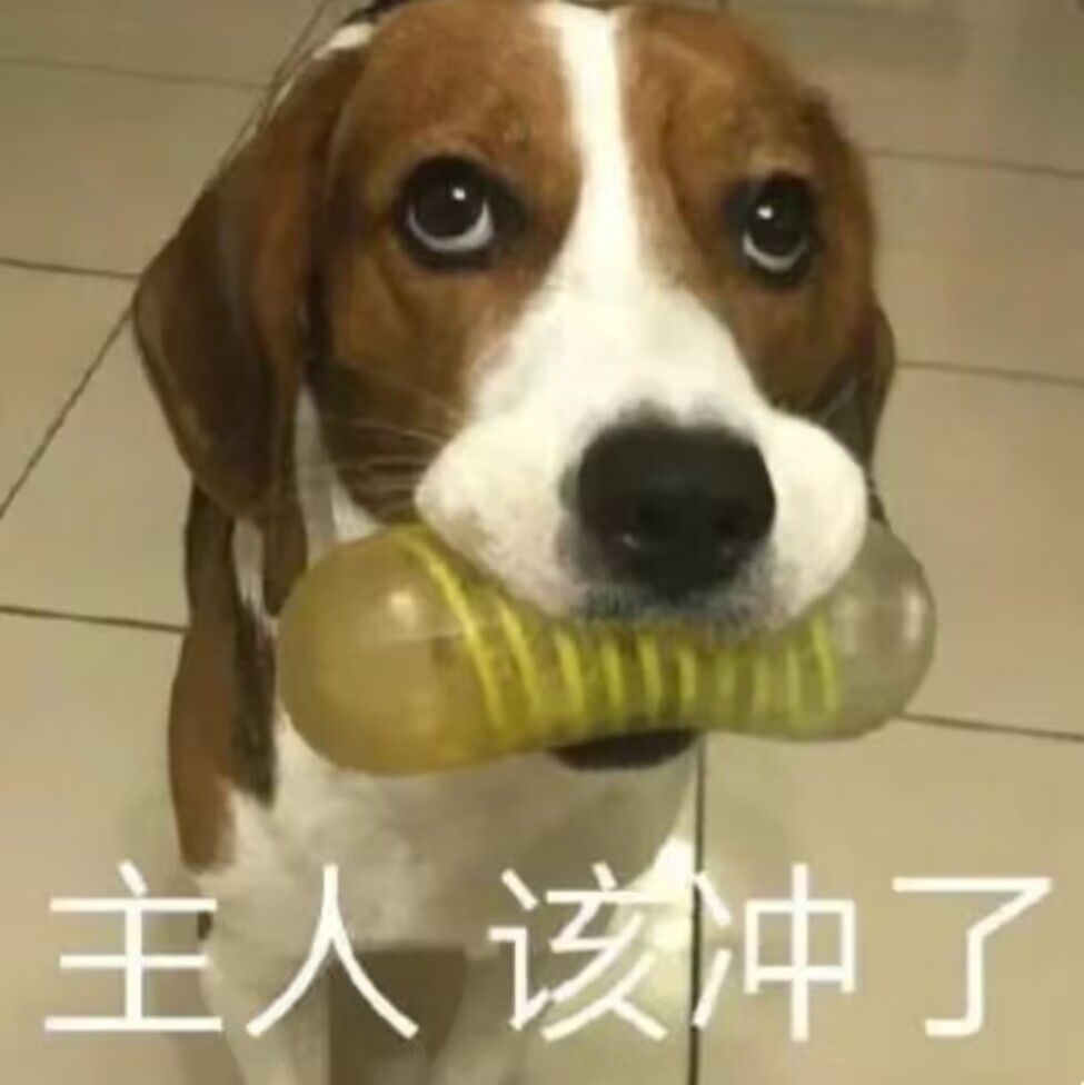 2023年终(至12月31日)评测综合排名!新年就要玩新杯!年假弟弟喷个爽!