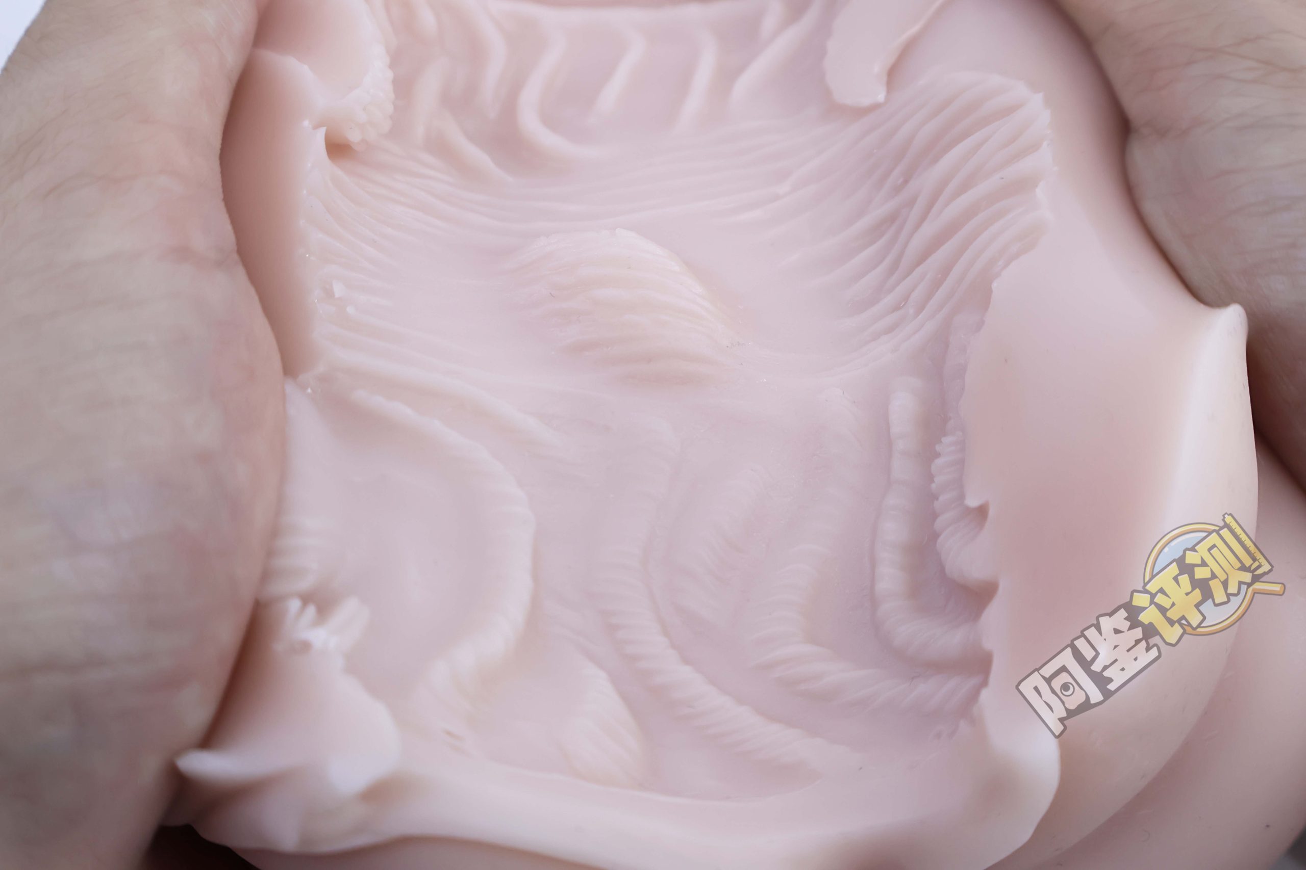 G-project——“艾露法”评测!又双叒叕是双通道,何时业界能放弃这个念头?