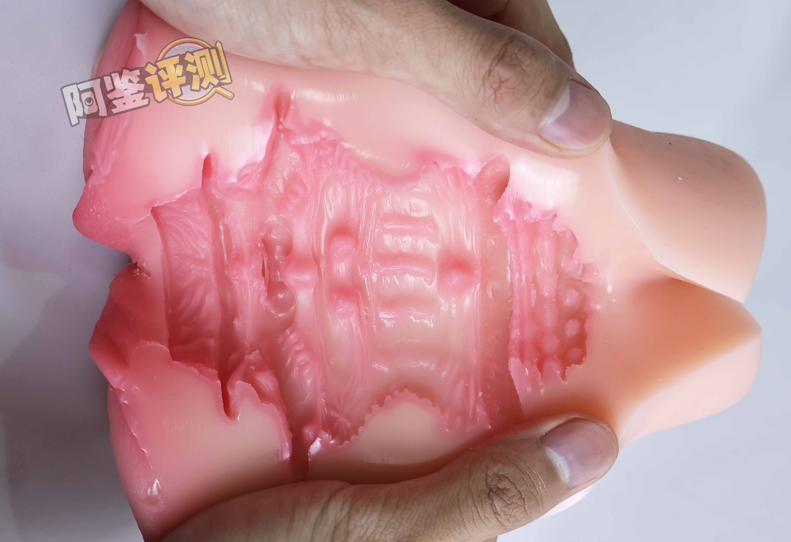 AGIaegir——“星座传说-魔蝎座”评测!新品牌试水之作,肉片结构表现如何?