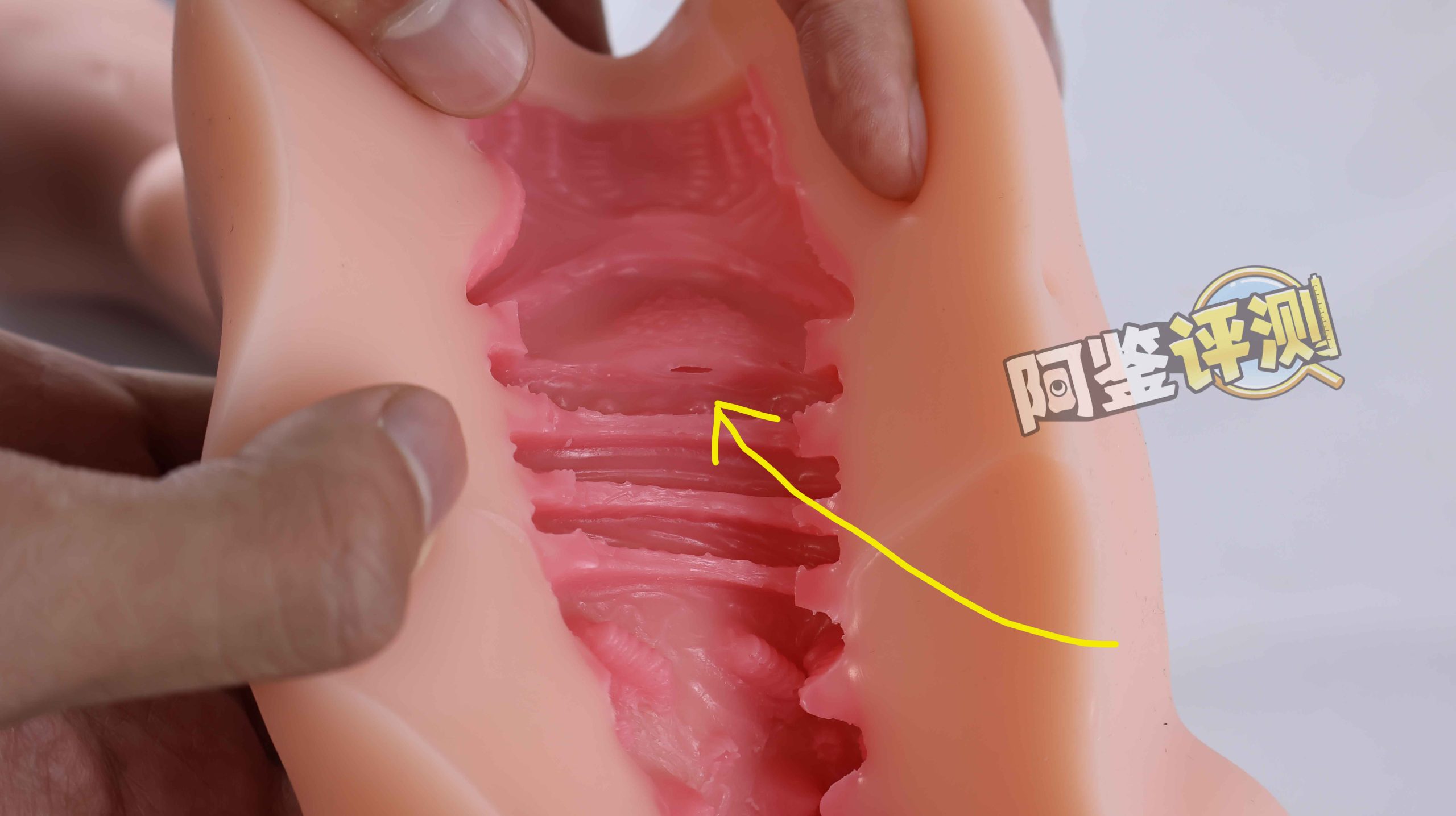 AGIaegir——“星座传说-魔蝎座”评测!新品牌试水之作,肉片结构表现如何?