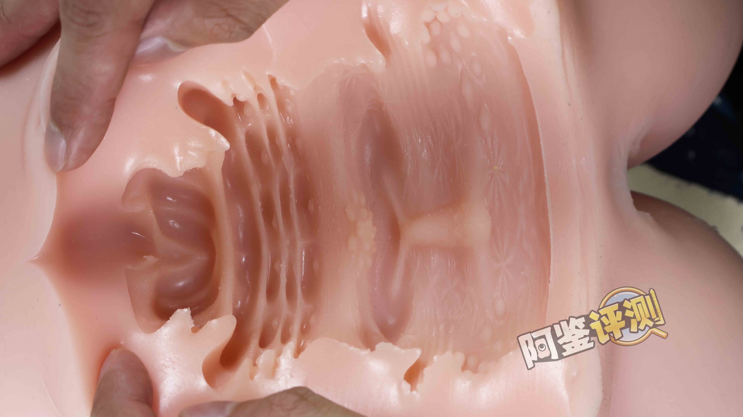 2024年1-3月—新品评测总结!推荐飞机杯爱好者尝试的款式!