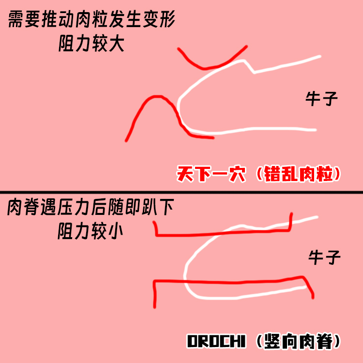 Ride-Japan——“OROCHI”评测!龙年打龙炮!要冲就冲红色冒头龙!