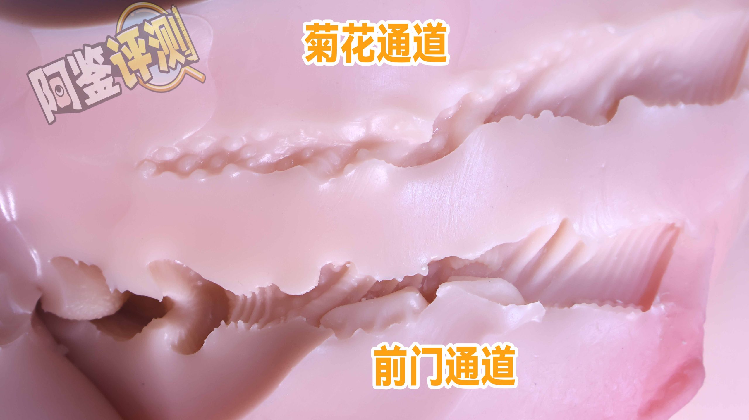 GXP——“夏威夷之旅”评测!最夸张的20kg“健身道具”,两处软胶的(超级贵)娃娃级玩具!