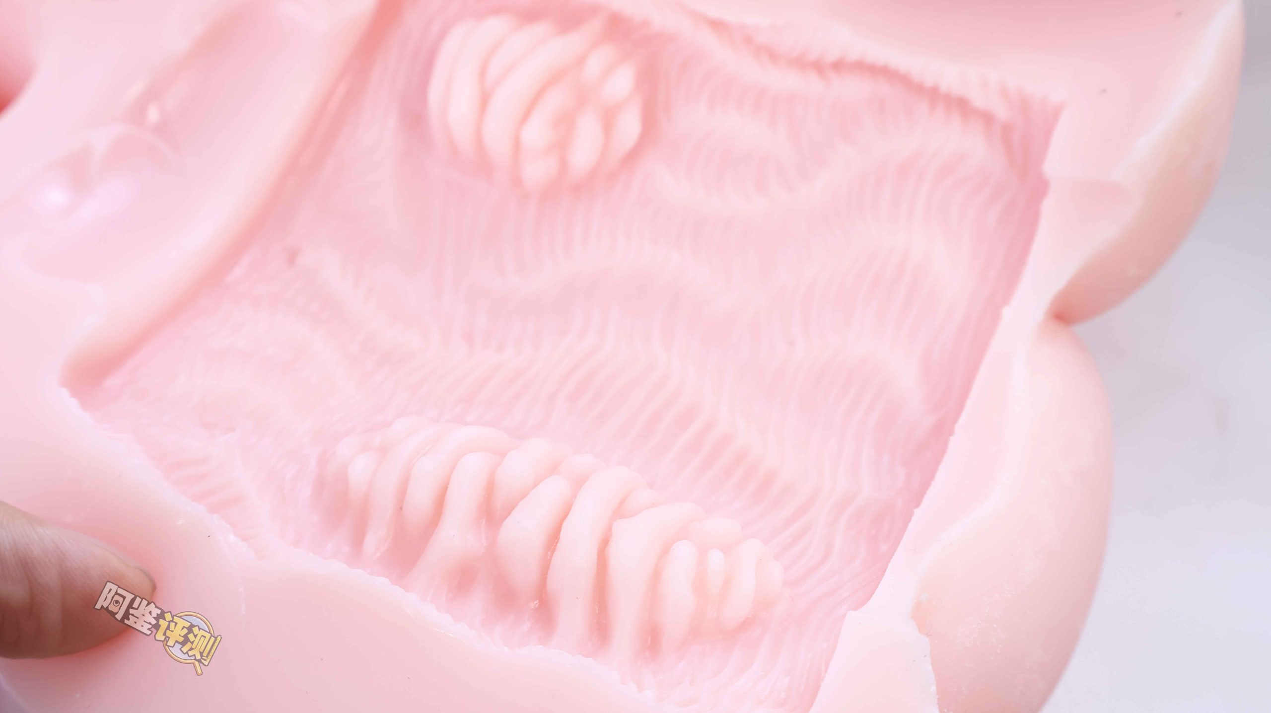 G-project——“猫耳娘”评测!造型明明是很大一个,通道居然这么短小?