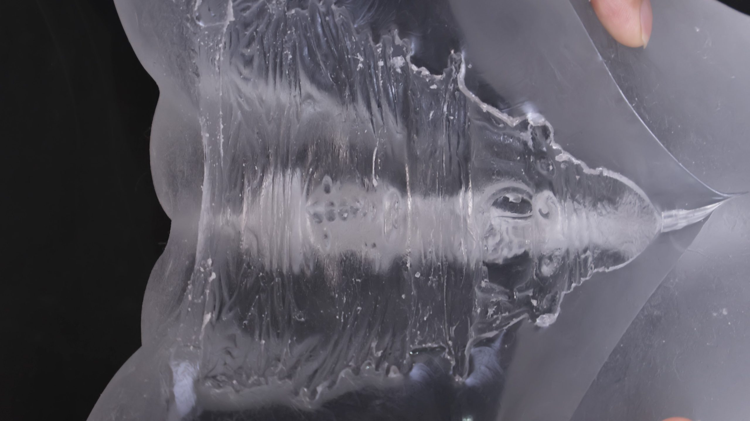 LoveFactor——“应援会长(透明版)”评测!硬度的变化如此之少,似乎只是为了透视噱头