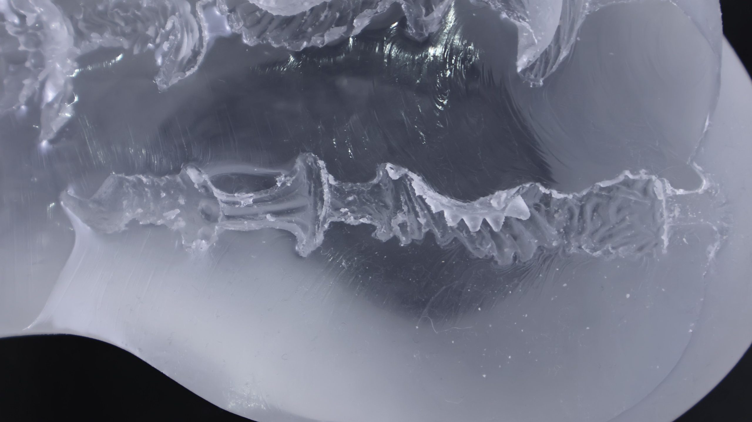 LoveFactor——“应援会长(透明版)”评测!硬度的变化如此之少,似乎只是为了透视噱头