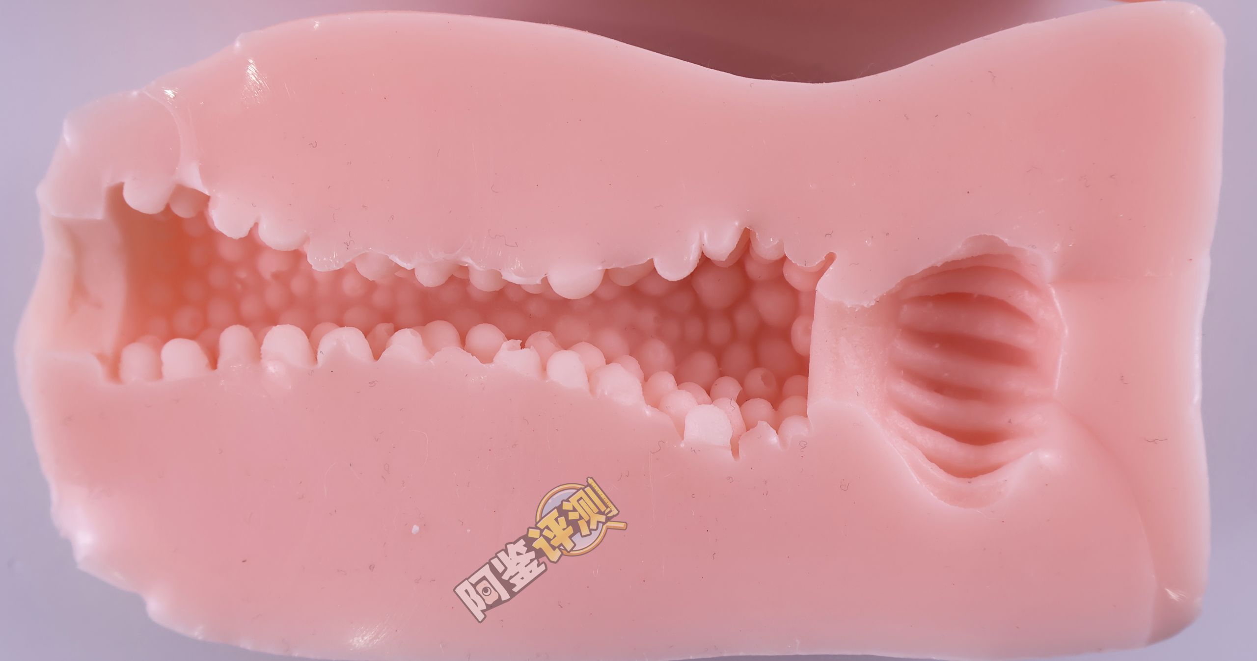 对子哈特——“怀孕中出”评测!简单易懂的舒适度,或许是小杯子的很大卖点