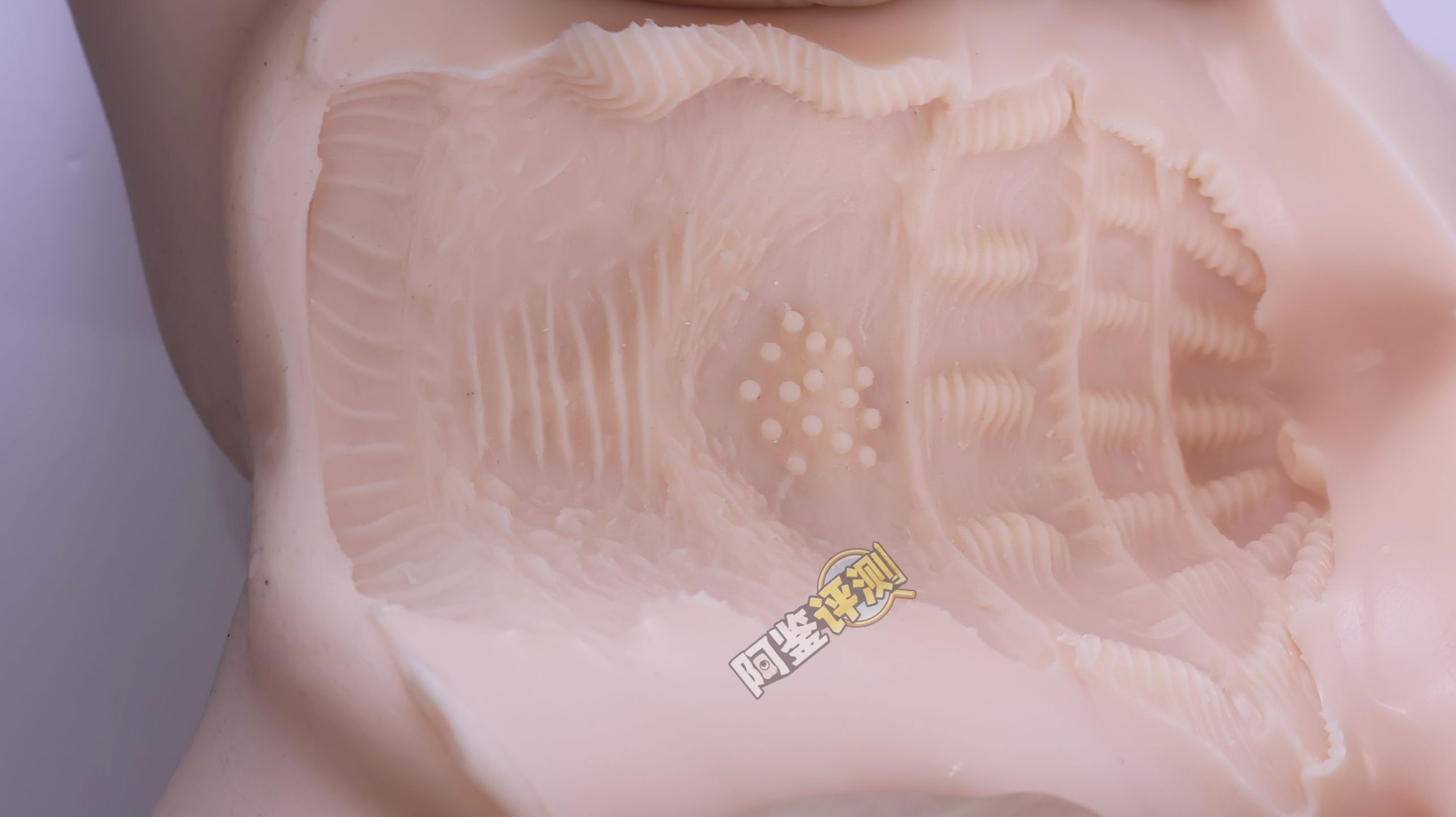 MACCOS——“纯洁之体”评测!少见的带腿小臀模,多种多样的视觉角度