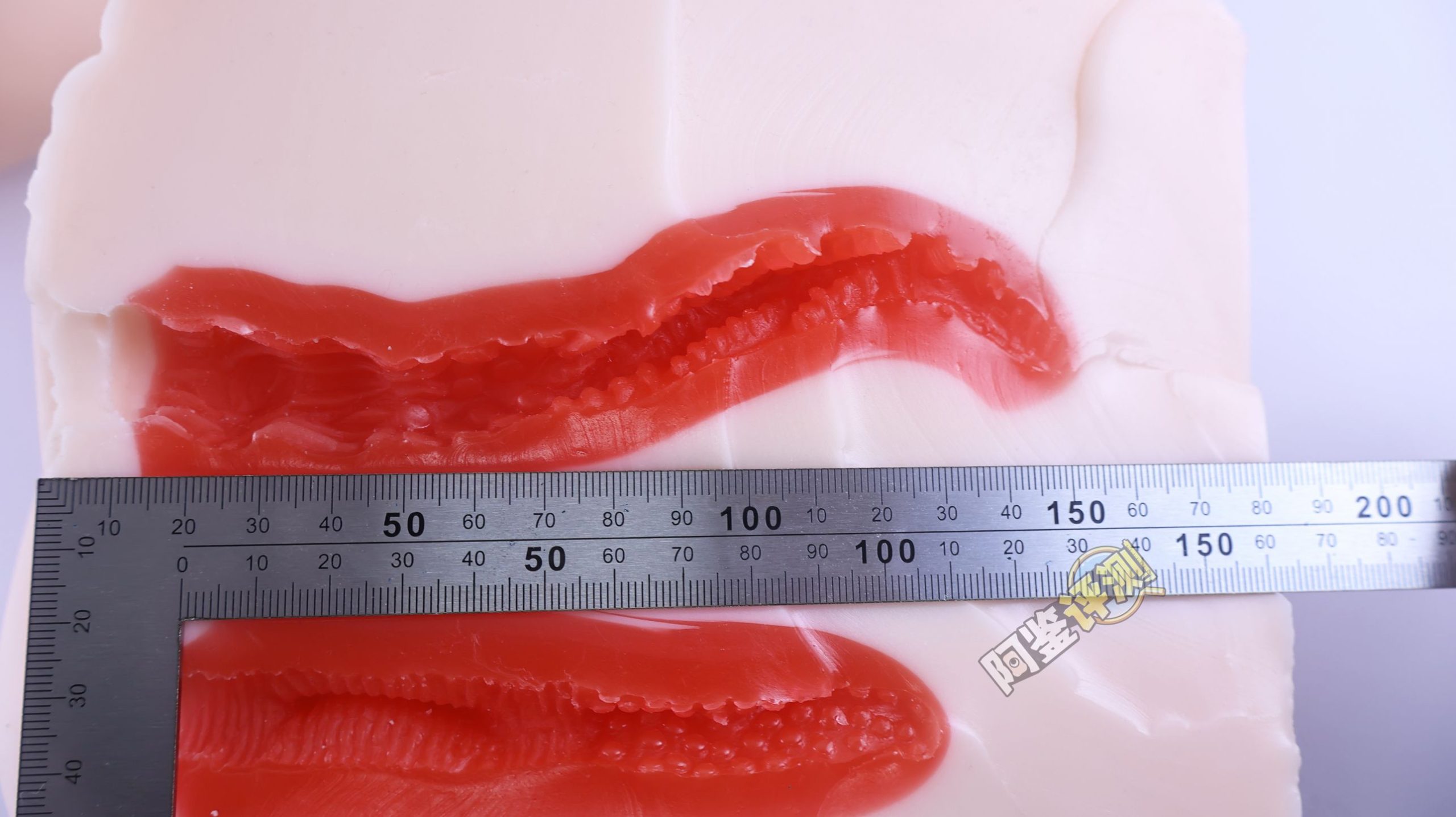 maccos——“真实之臀”评测!重量方面确实是足够的,但造型实在太过无感了.....