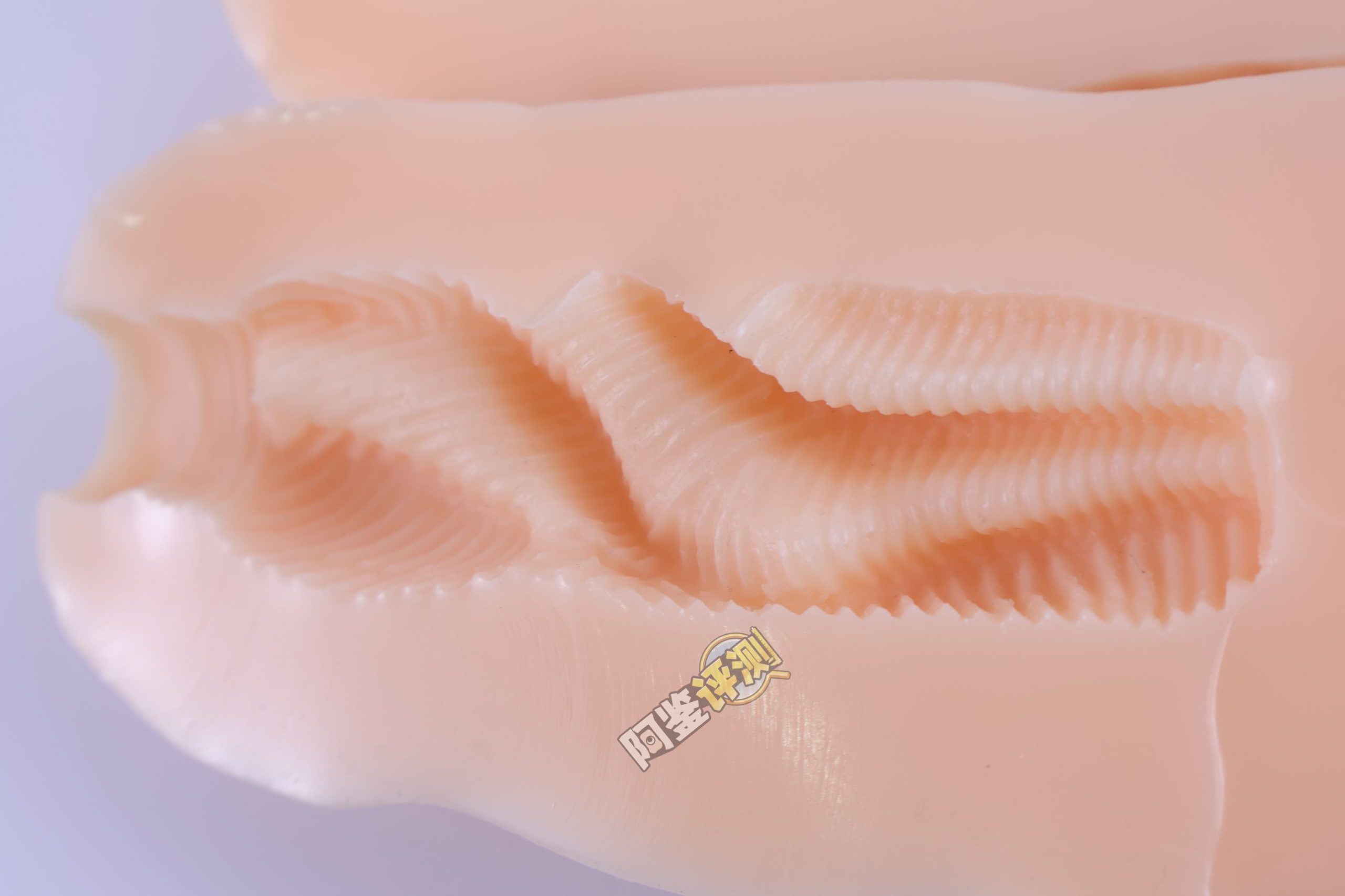 汤马托易士——“山田种牛牧场”评测!如此粗壮的立体结构,果然刺激感相当愉悦