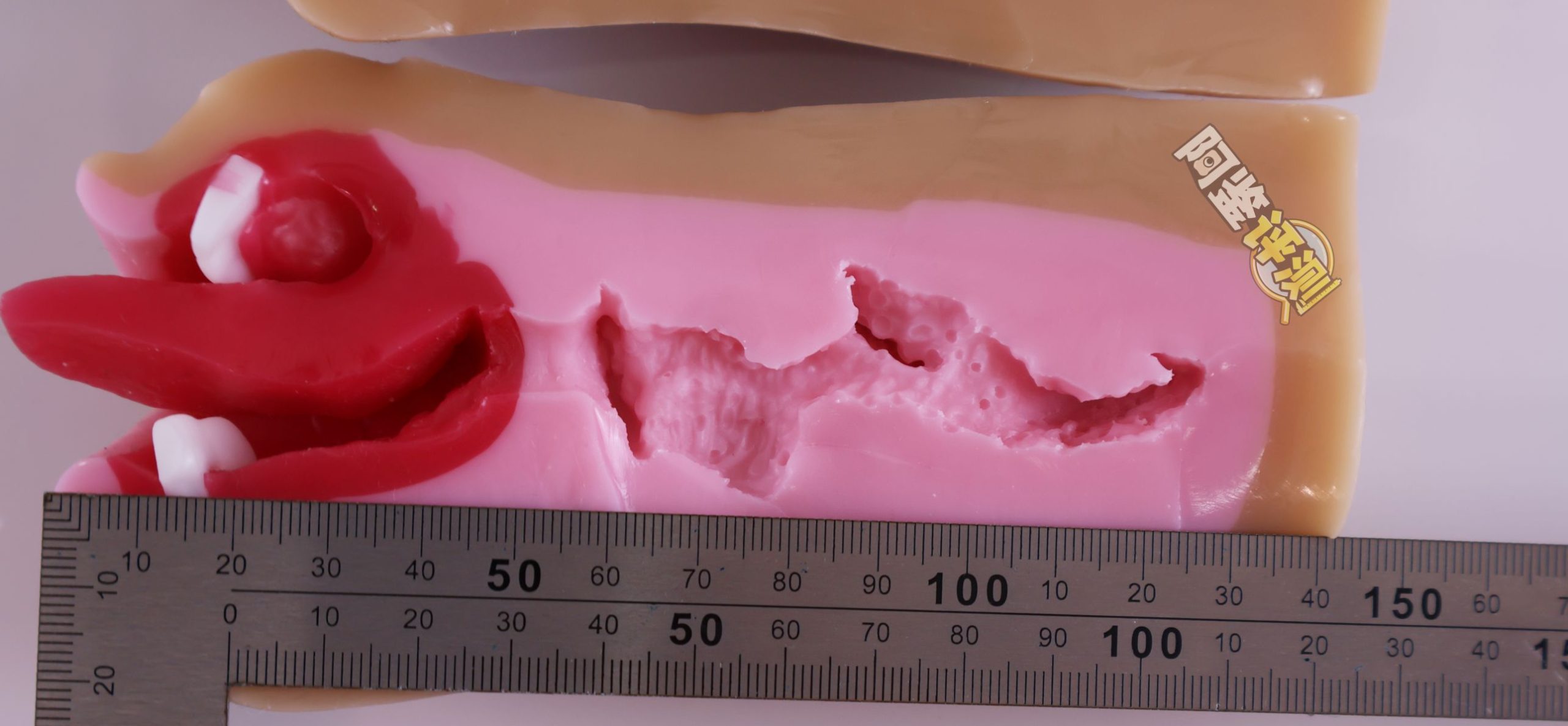 魔眼——“超辣妹浓厚口交”评测!牙齿噱头过气后,“真实之口”的金字招牌完全破碎