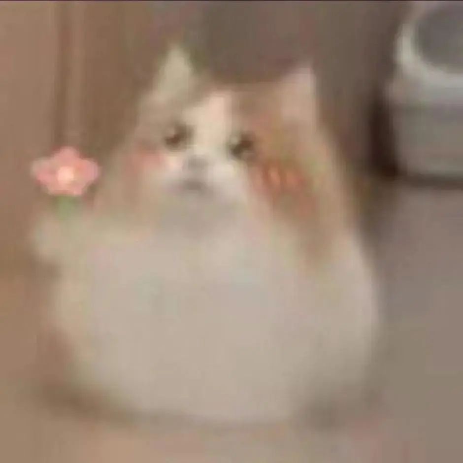 对子哈特——“工口姐姐2代”评测!颗粒部分的成型欠佳,但整体使用感还是不错的