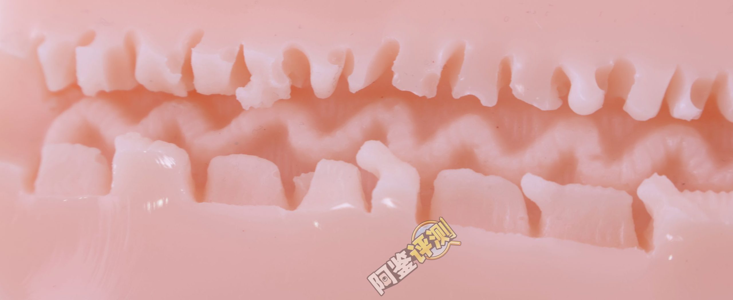 汤玛托易士——“圣华女学院”评测!这样的“粗枝大叶”,或许才是慢玩杯更需要的