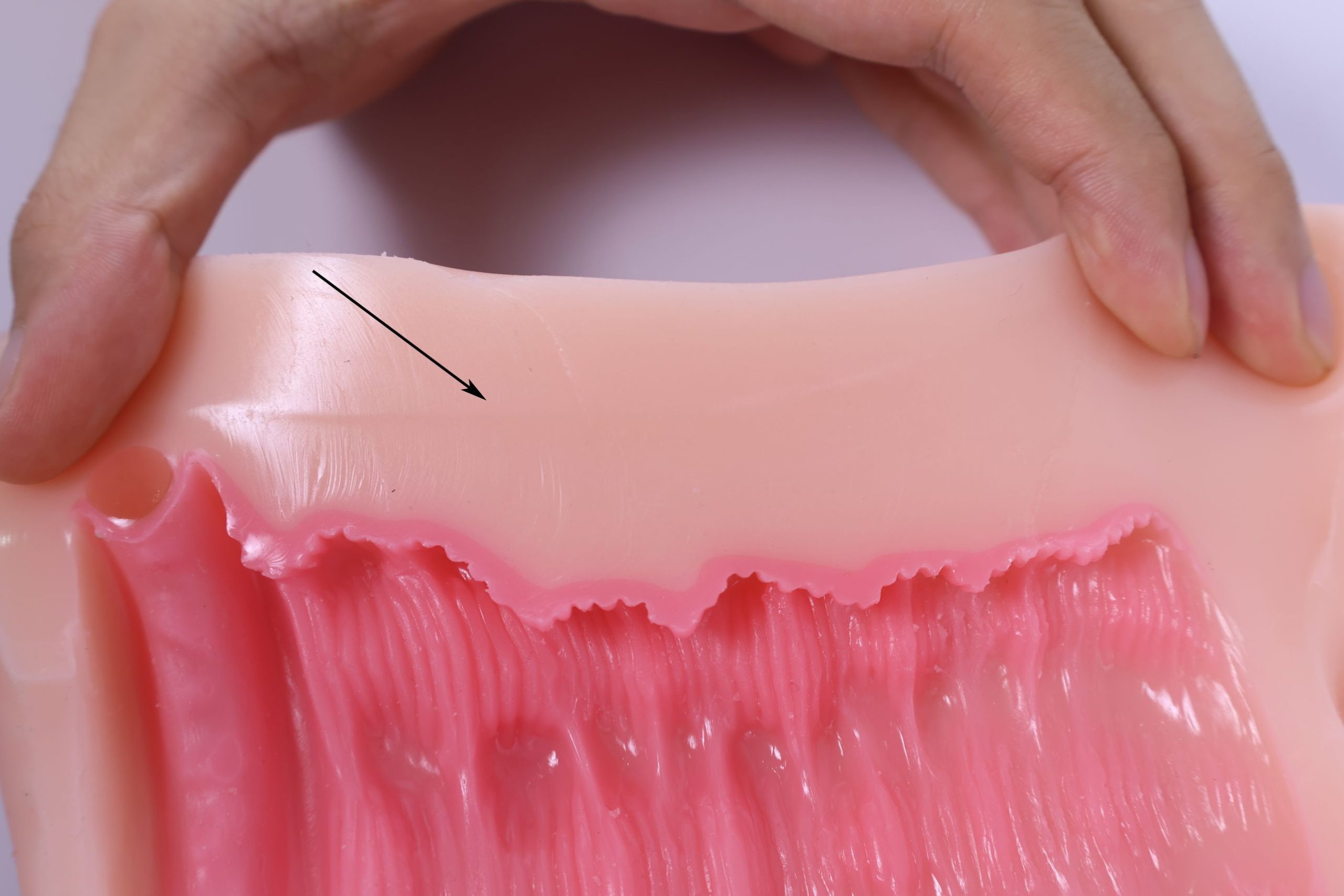 LoveFactor——“萌妻解禁”评测!久违的约束环菊花杯,似曾相识的三层材质结构