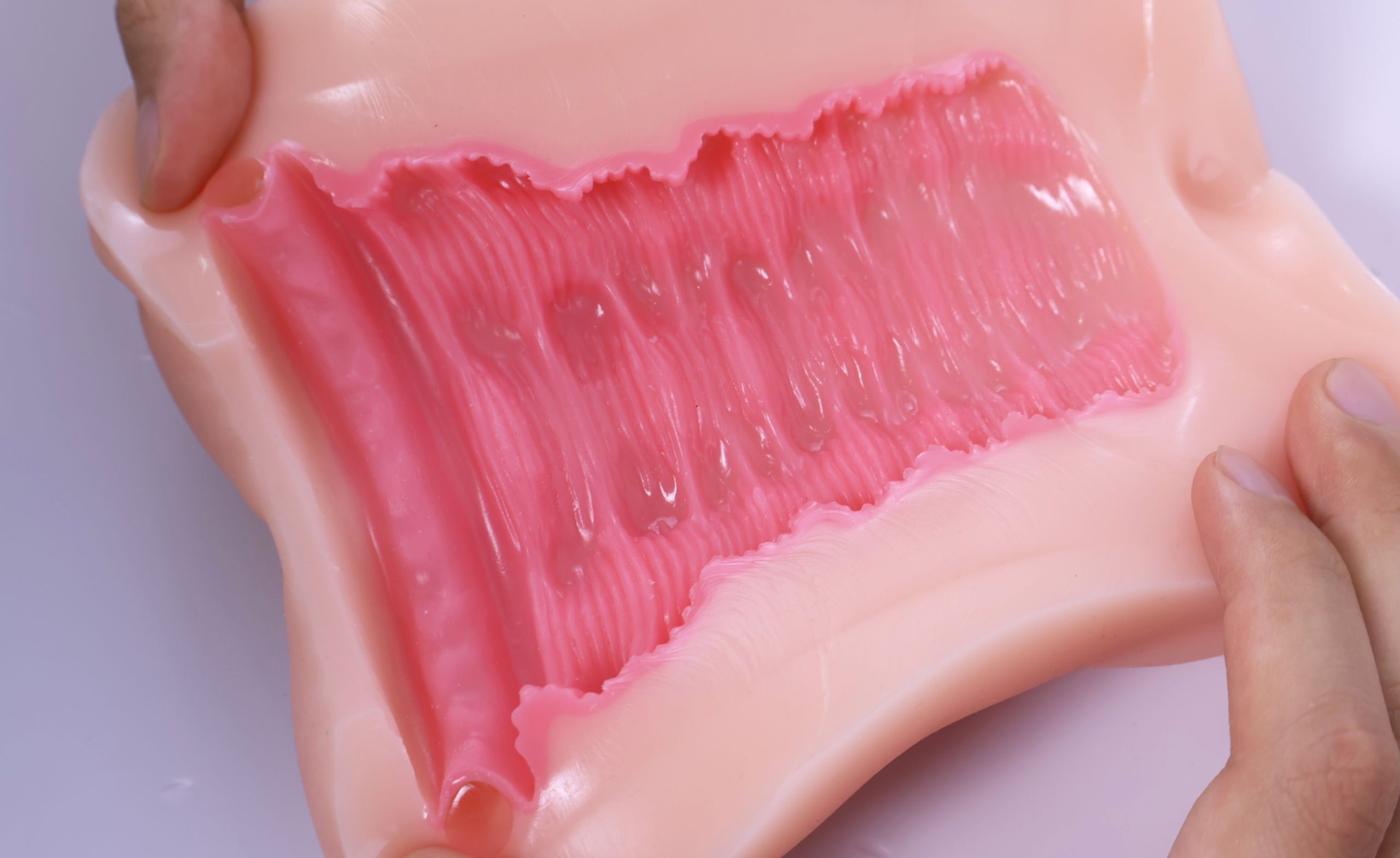 LoveFactor——“萌妻解禁”评测!久违的约束环菊花杯,似曾相识的三层材质结构