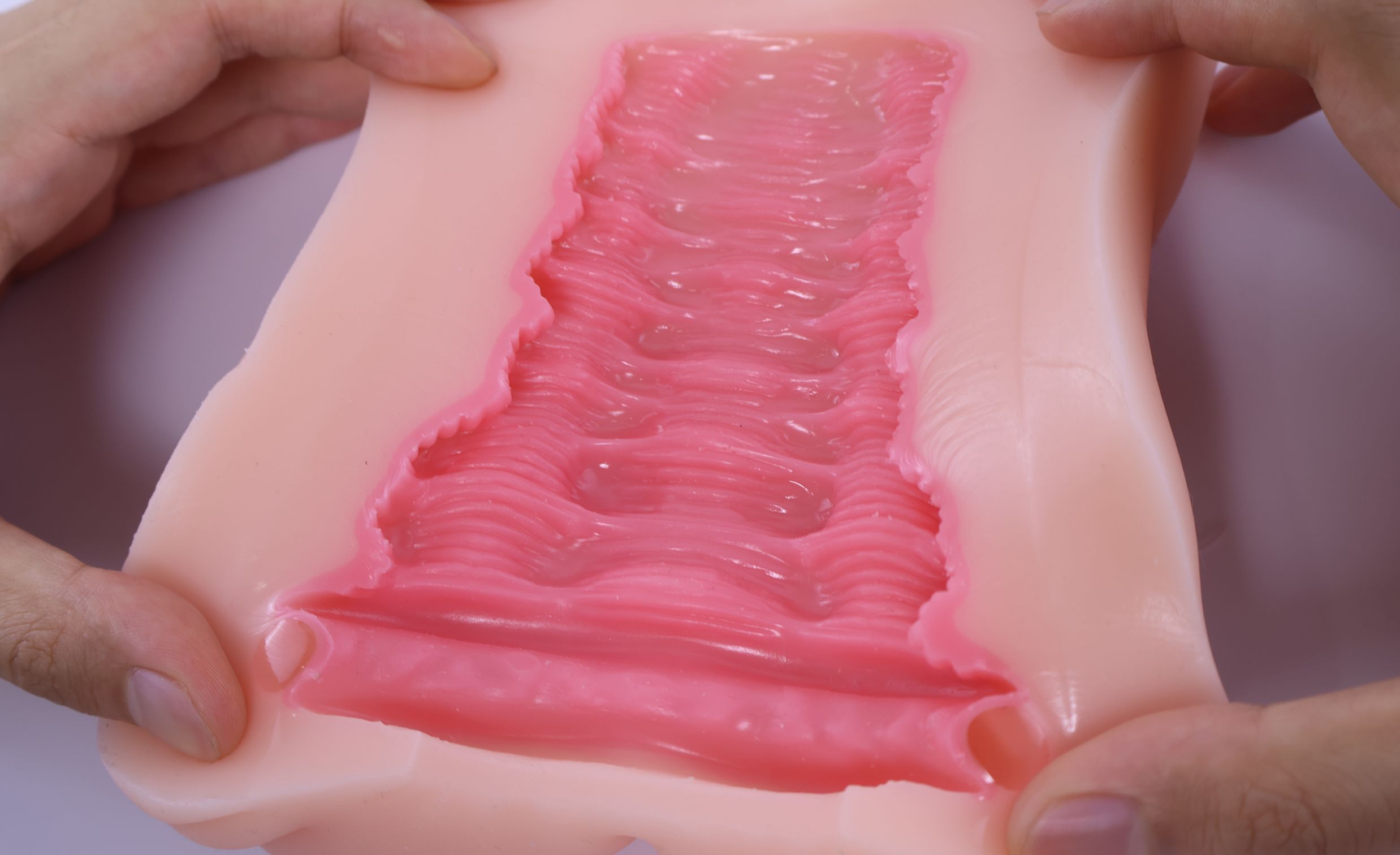 LoveFactor——“萌妻解禁”评测!久违的约束环菊花杯,似曾相识的三层材质结构