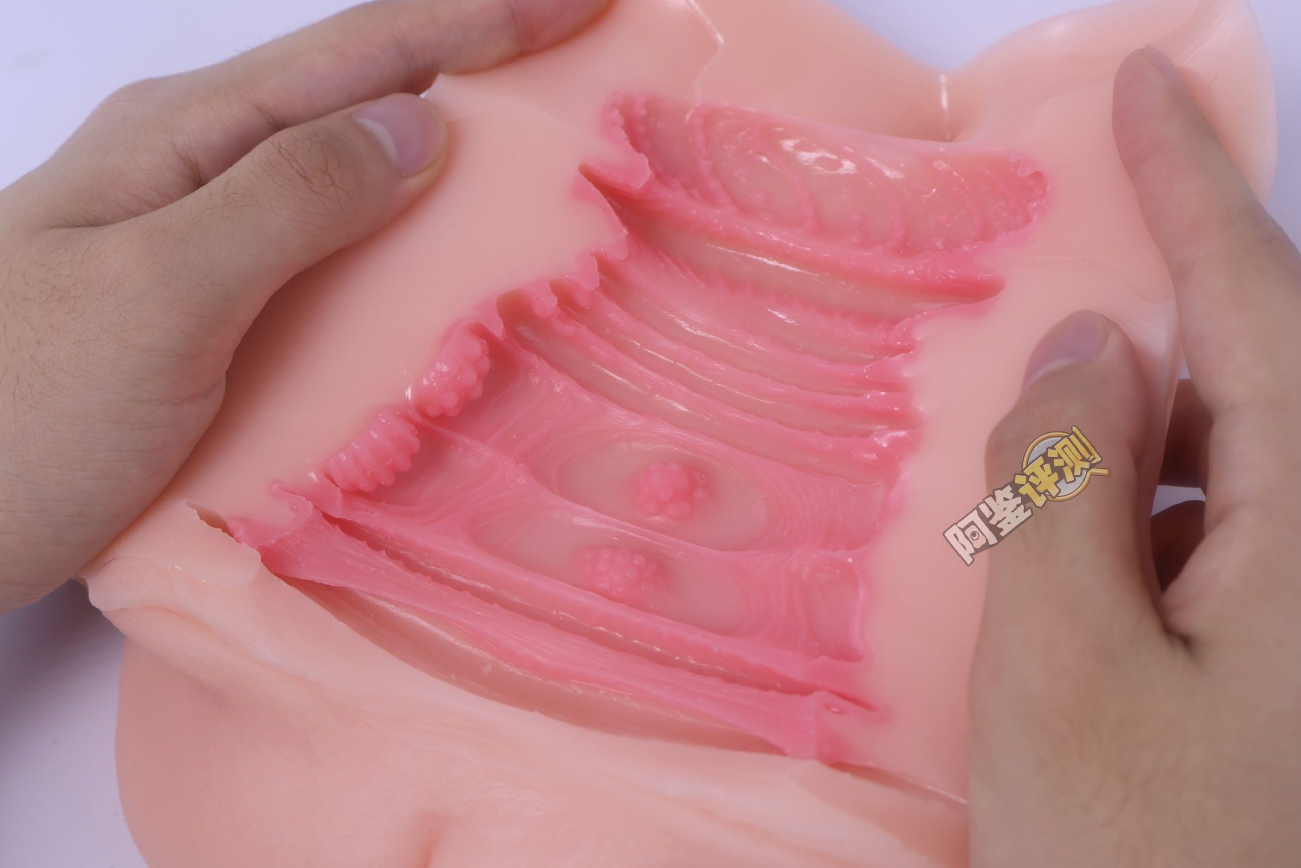 GXP——“白丝壁女2代(hard版)”评测!更加硬质的肉片结构,完全改变了整个杯子的体验画风!