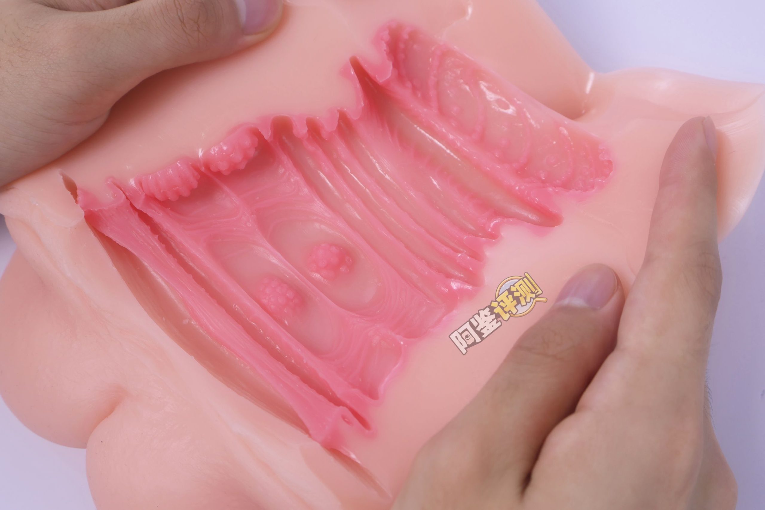 GXP——“白丝壁女2代(hard版)”评测!更加硬质的肉片结构,完全改变了整个杯子的体验画风!