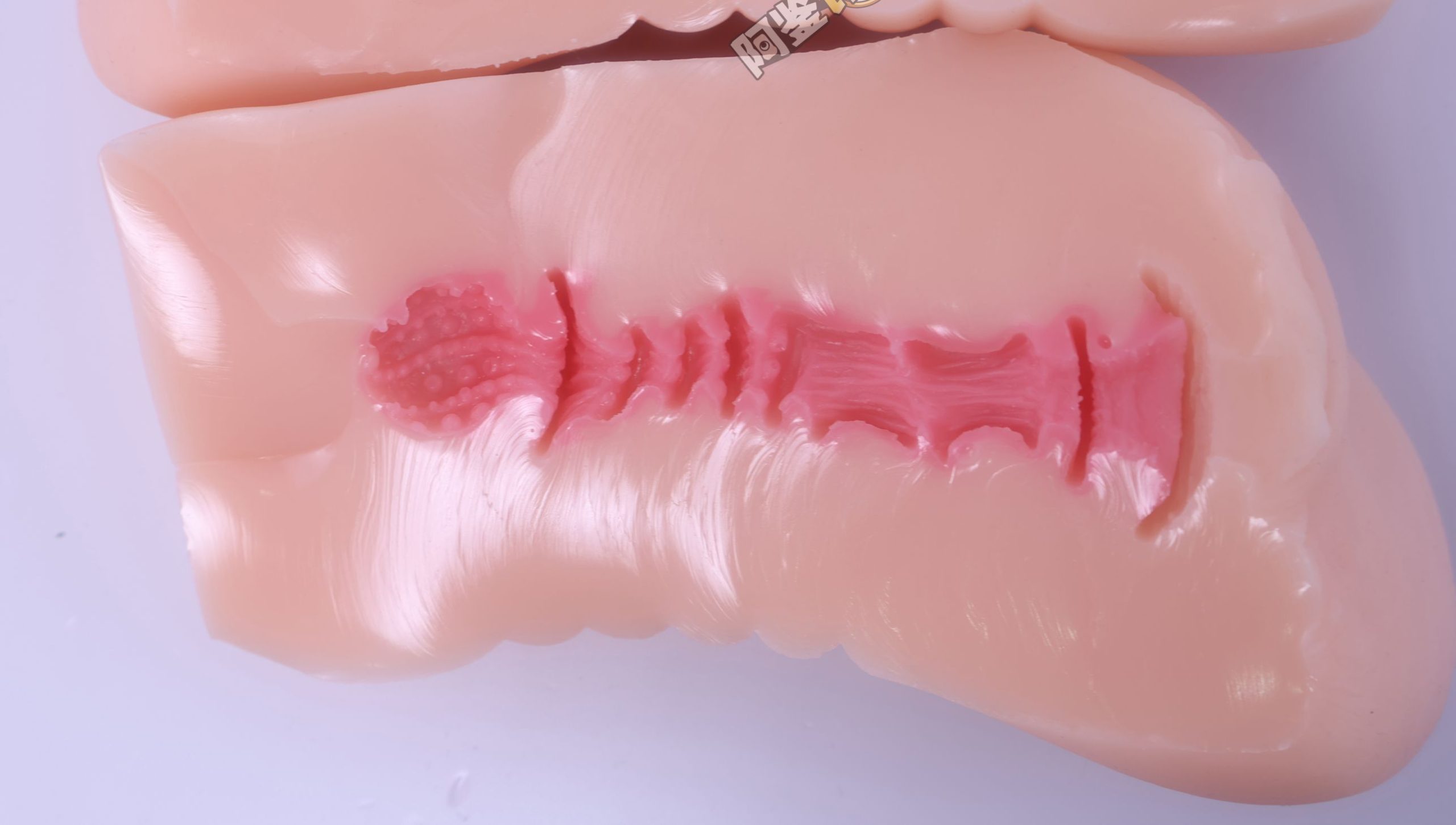 GXP——“白丝壁女2代(hard版)”评测!更加硬质的肉片结构,完全改变了整个杯子的体验画风!