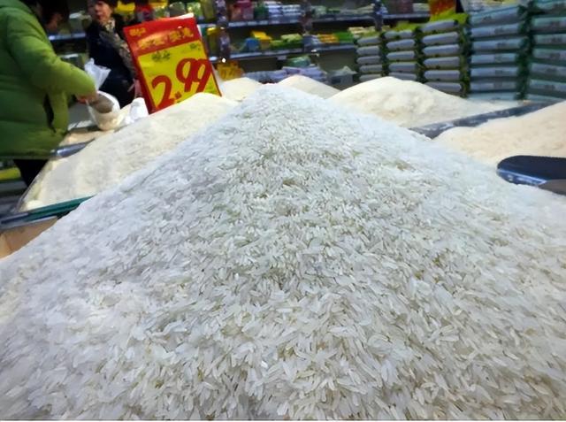 火炮——“残暴的阿丽奈”评测！平坦的“砂纸结构”，真空玩法下居然意外的体验很爽？