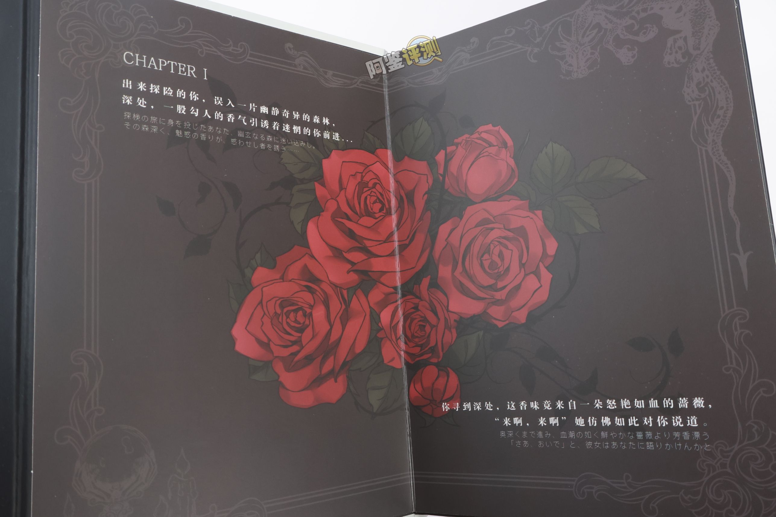 TMT——“魔女之森”评测!除了使用体验以外都挺精致,杯界的时尚小垃圾