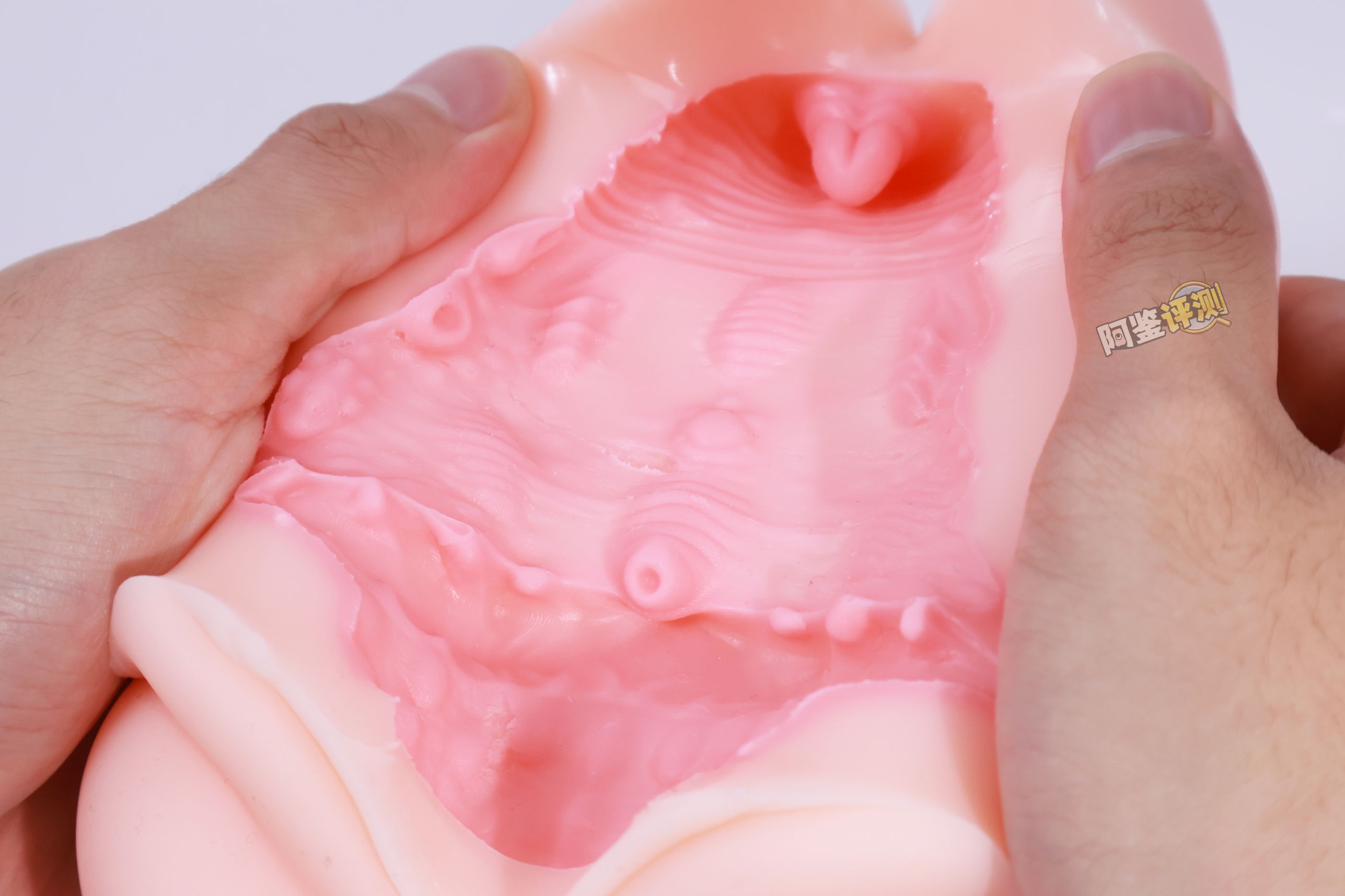 TMT——“魔女之森”评测!除了使用体验以外都挺精致,杯界的时尚小垃圾