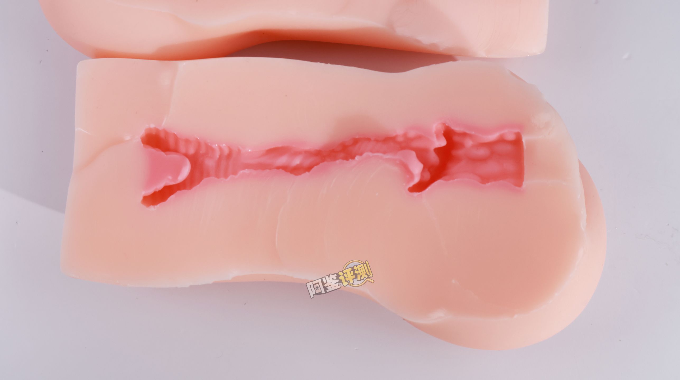 TMT——“魔女之森”评测!除了使用体验以外都挺精致,杯界的时尚小垃圾