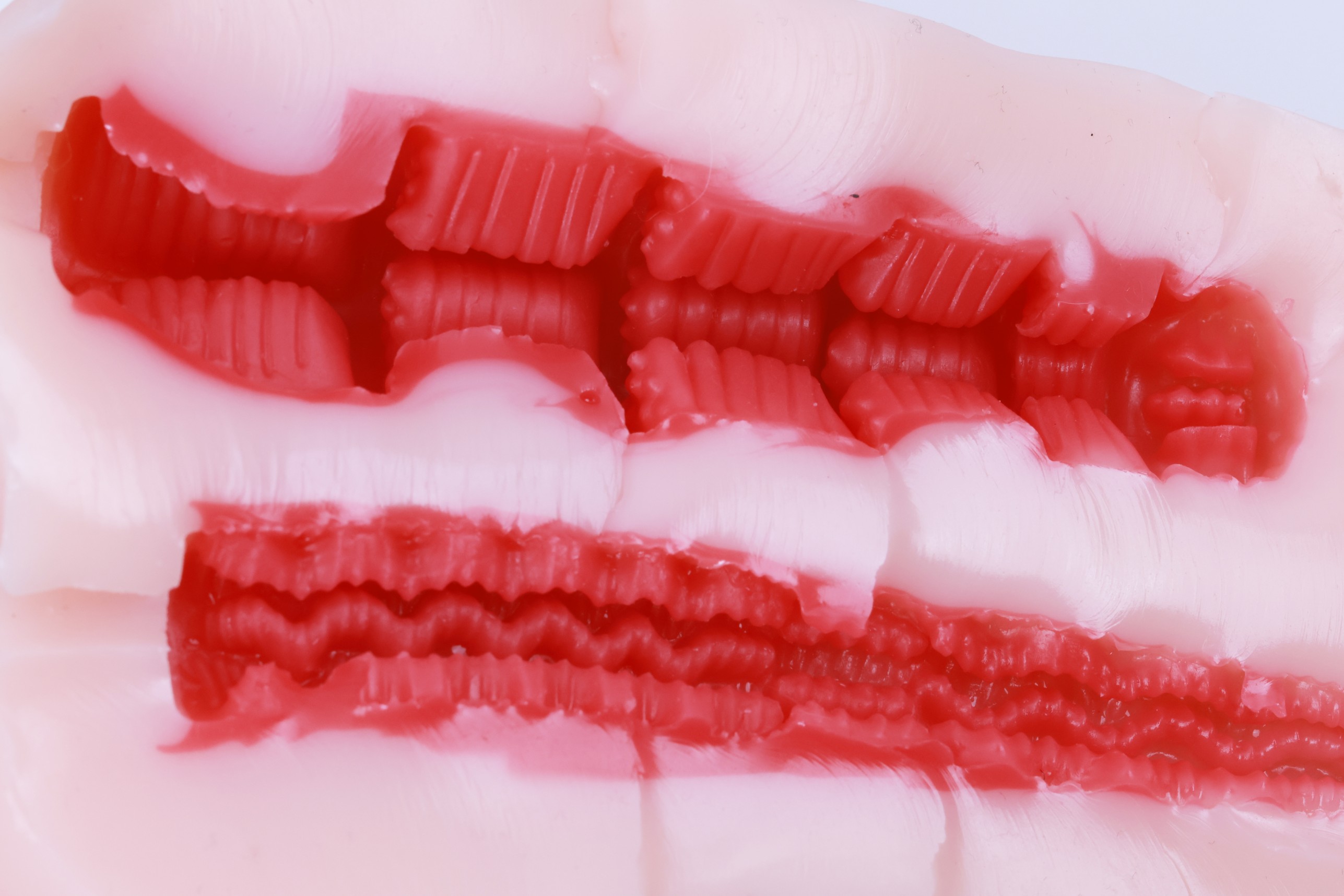 Lovefactor——“ 训教委员”评测！这个胖乎乎的造型现在居然这么流行了吗？